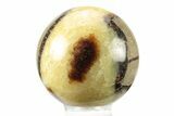 Polished Septarian Sphere - Madagascar #238997-1
